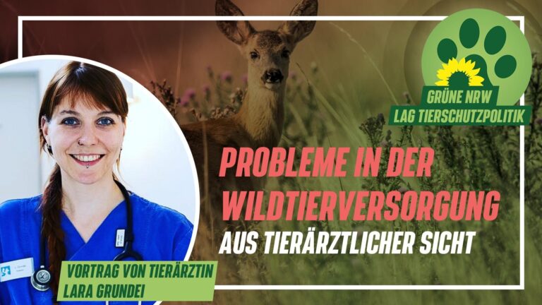 Die nächste Vortragsreihe der LAG ist online – Wildtierrettung