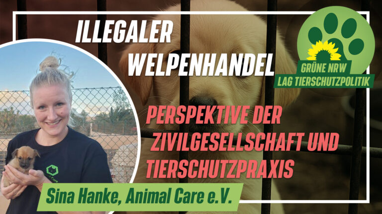 Neue Vortragsreihe zum illegalen Welpenhandel online