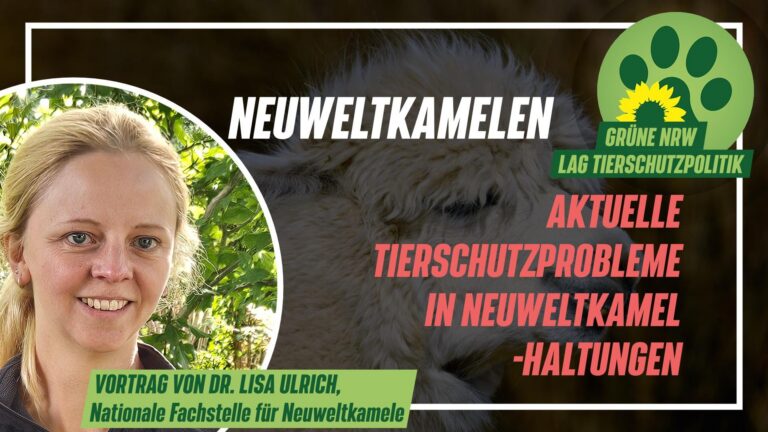 Vortragsreihe zu Neuweltkamelen online