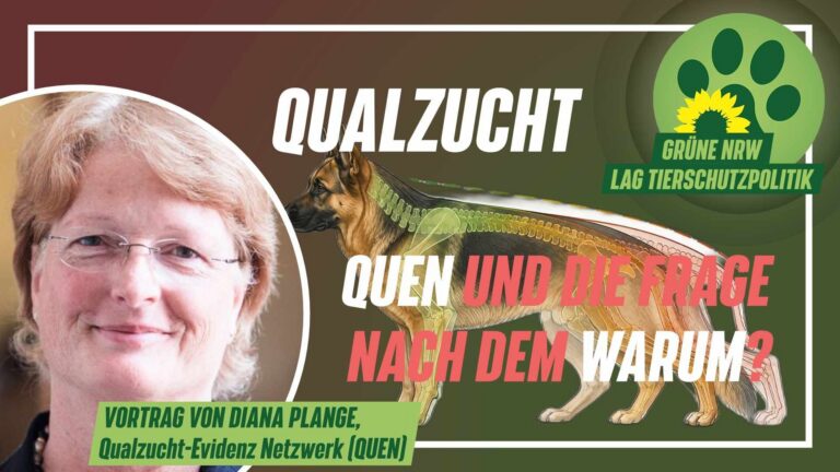 Neue Vortragsreihe zur Qualzucht ist online