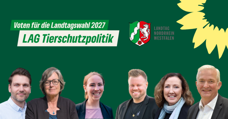 Sechs Kandidierende für den Landtag stellen Tierschutz in den Vordergrund